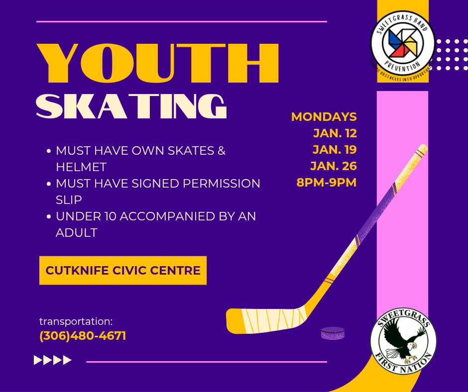 Youth Skating