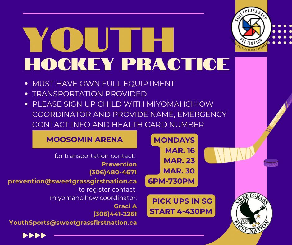 Youth Hockey Practice