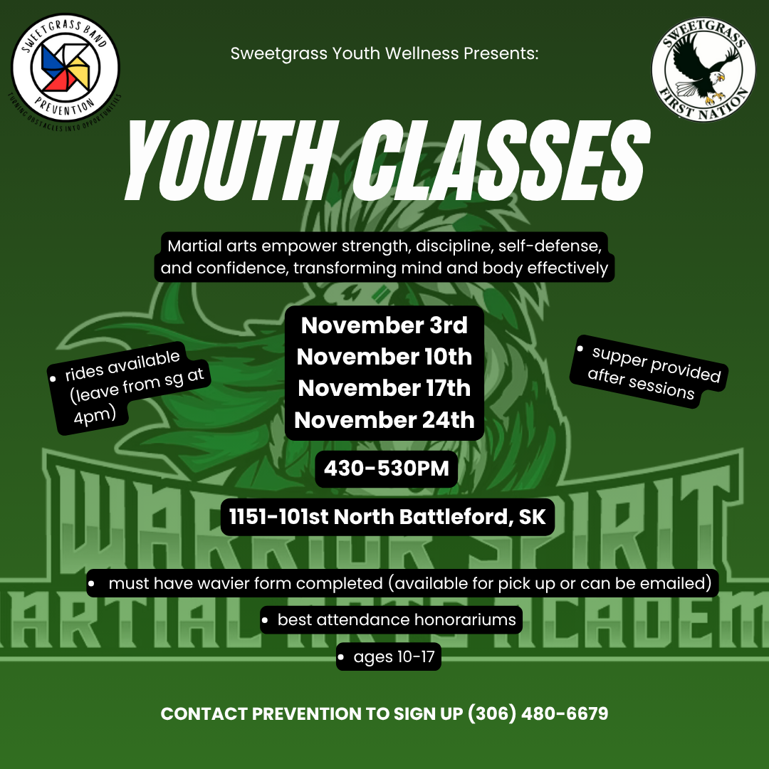 Youth Martial Arts Classes